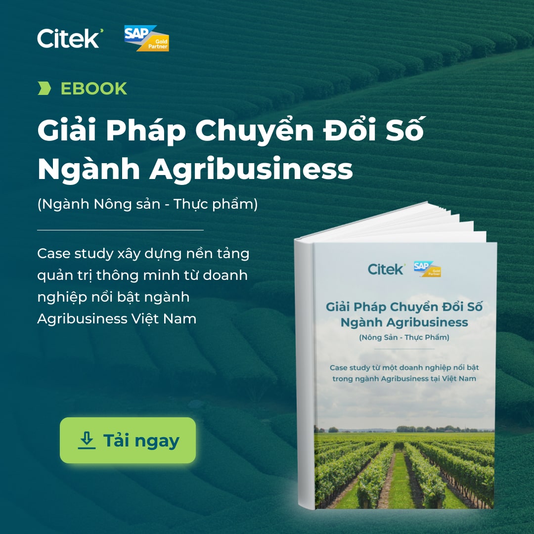 Citek Ebook Giải pháp chuyển đổi số ngành Agribusiness (Nông sản - Thực phẩm)